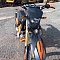 Мотоцикл внедорожный X-Motos Cross 250 (с ПТС)