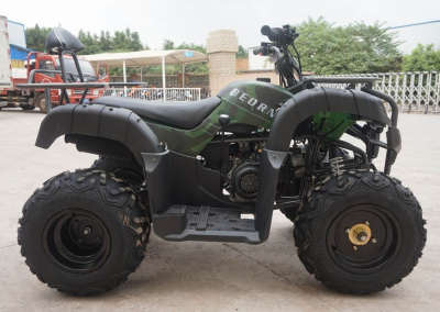 Квадроцикл Beorn 200