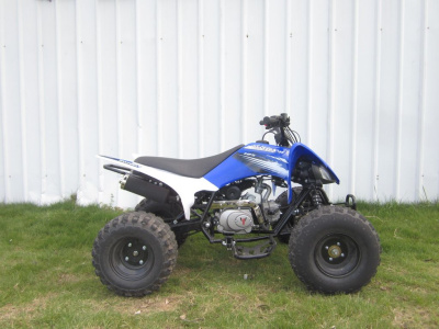 Квадроцикл Pantera 125 Sport